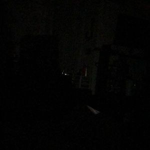 Meet your Posher, Maia